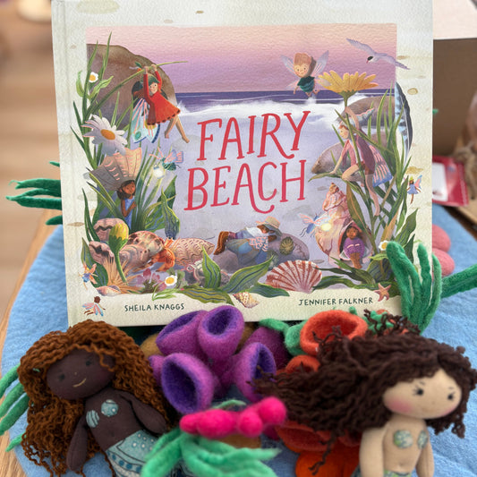 Fairy Beach by Sheila Knaggs (Hard Back)