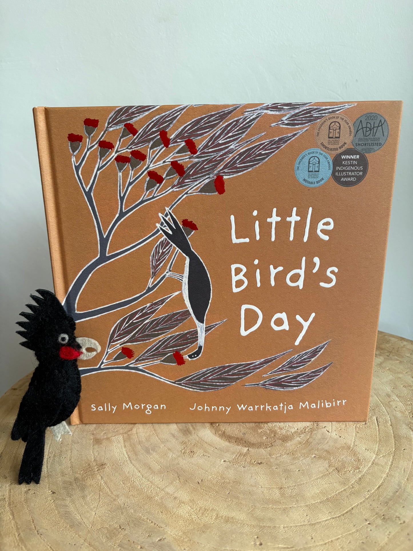Little Bird's Day by Sally Morgan (Hard Back)