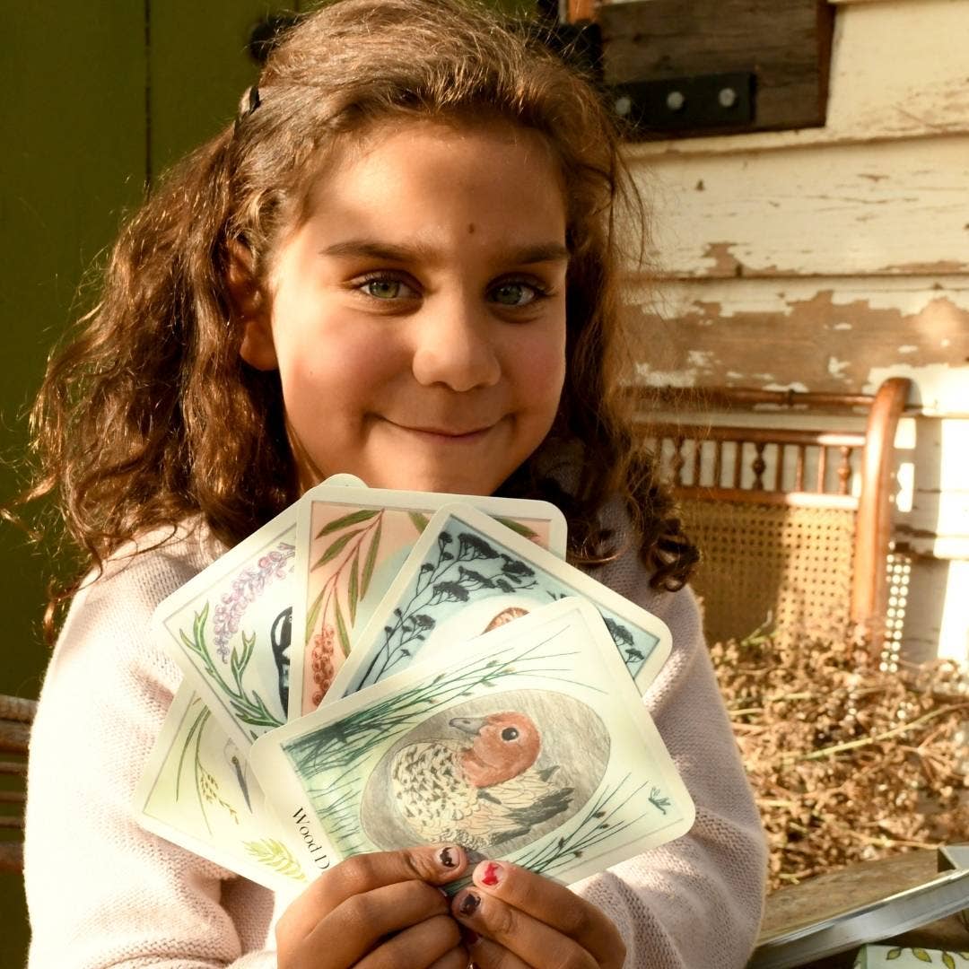 I am a Magpie I am a Currawong - Card Game