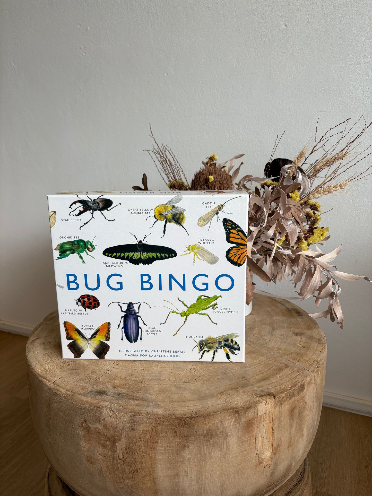 Bug Bingo