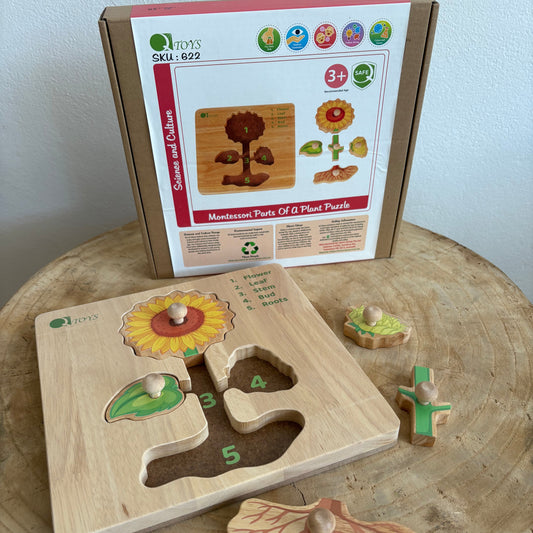 Montessori Parts of a Plant Puzzle