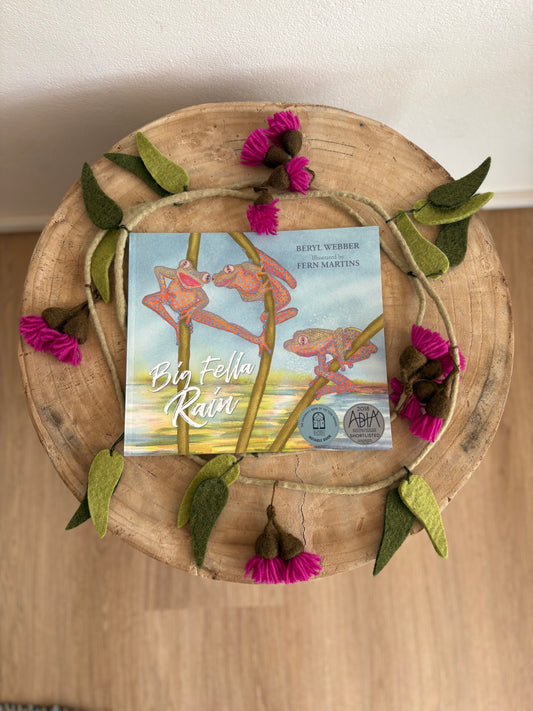 Big Fella Rain by Beryl Webber (Paper Back)