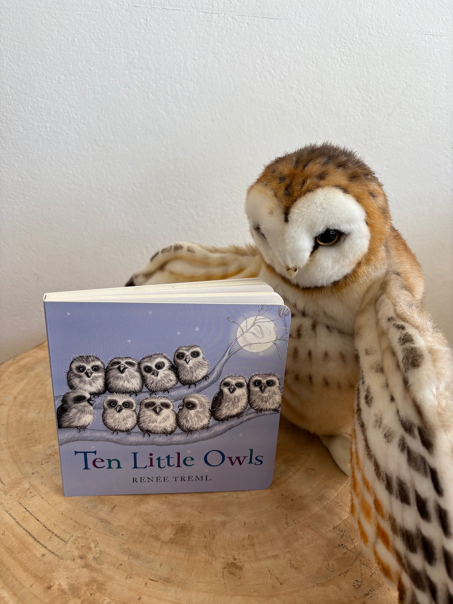 Ten Little Owls by Renee Treml (Board Book)