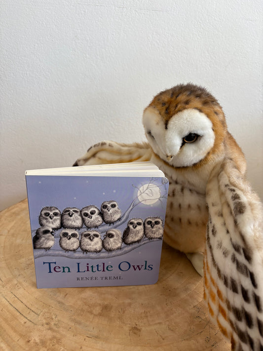 Ten Little Owls by Renee Treml (Board Book)