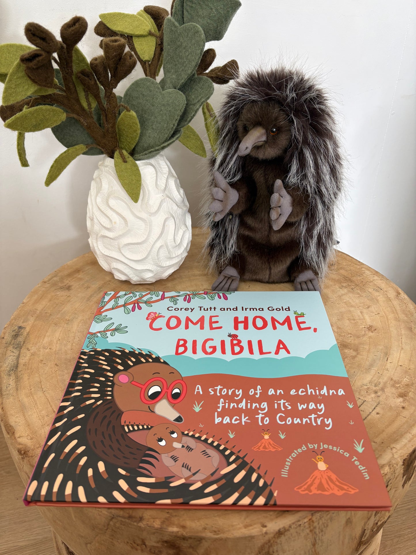 Come Home, Bigibila by Corey Tutt (Hard Back)