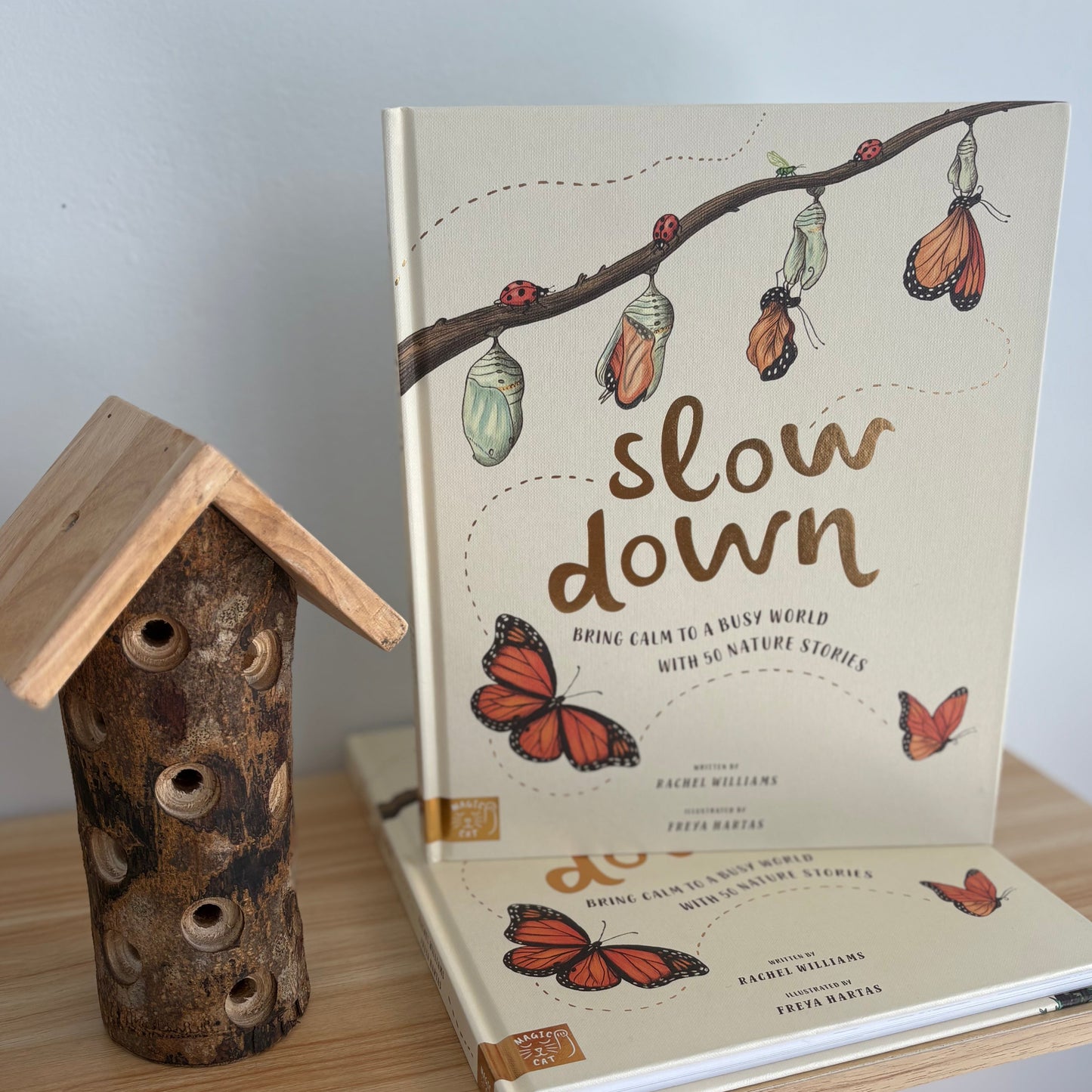 Slow Down by Rachel Williams (Hard Back)