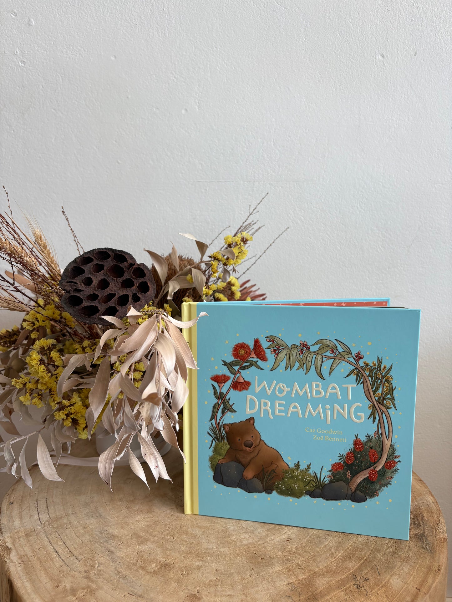 Wombat Dreaming by Caz Goodwin (Hard Back)
