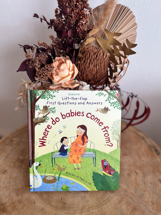 Lift The Flap First Questions: Where Do Babies Come From? by Katie Daynes (Board Book)