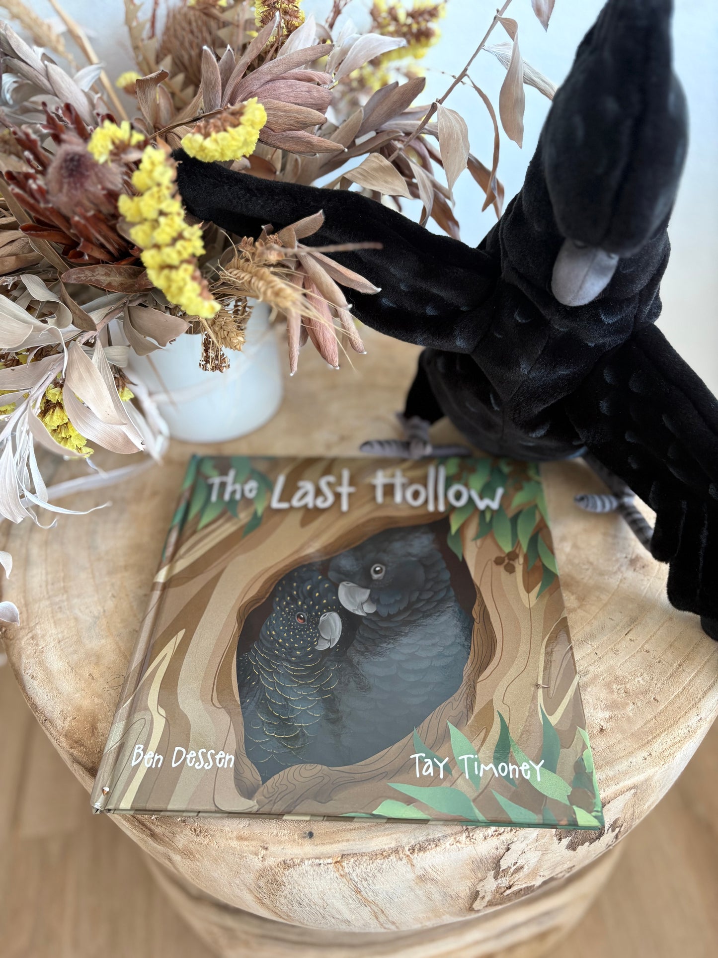 The Last Hollow by Ben Dessen (Hard Back)