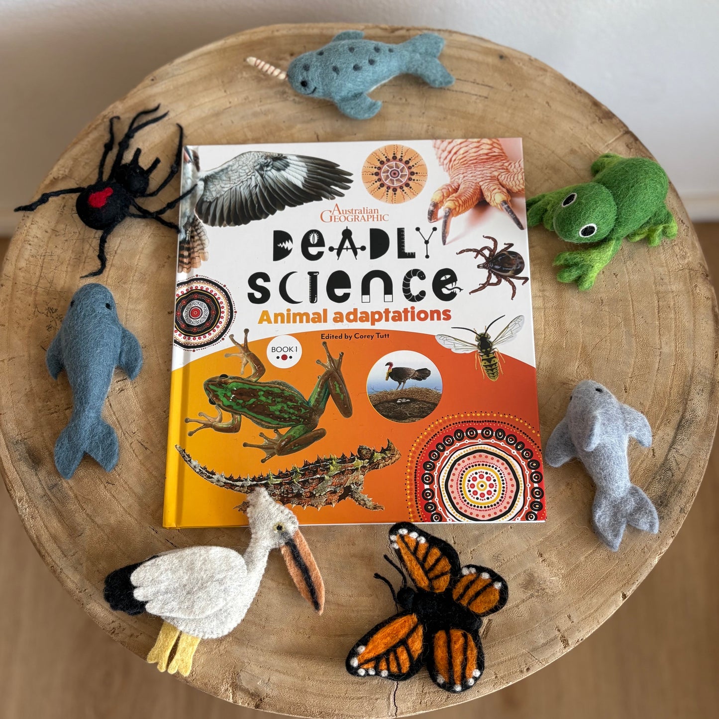 Deadly Science Animals Adaptations by Corey Tutt (Hard Back)