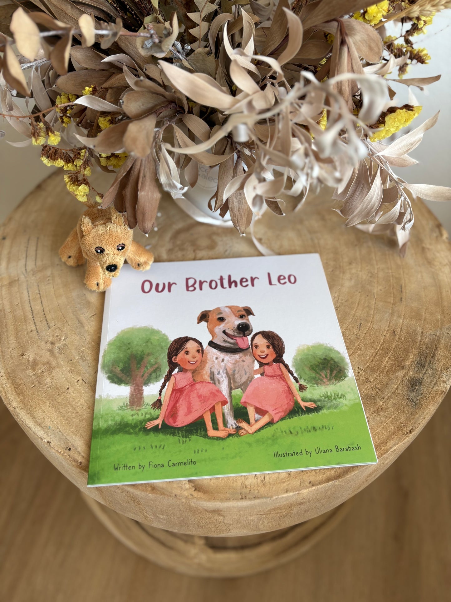 Our Brother Leo by Fiona Carmelito (Paper Back)