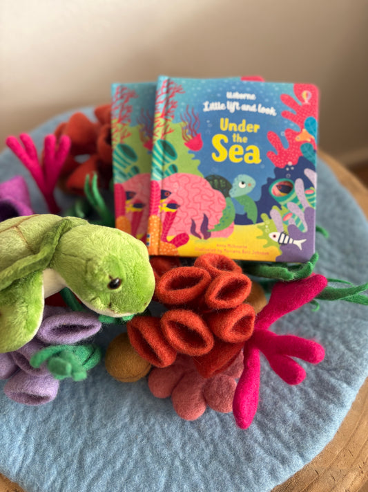 Under The Sea by Anna Milbourne (Lift & Look Board Book)