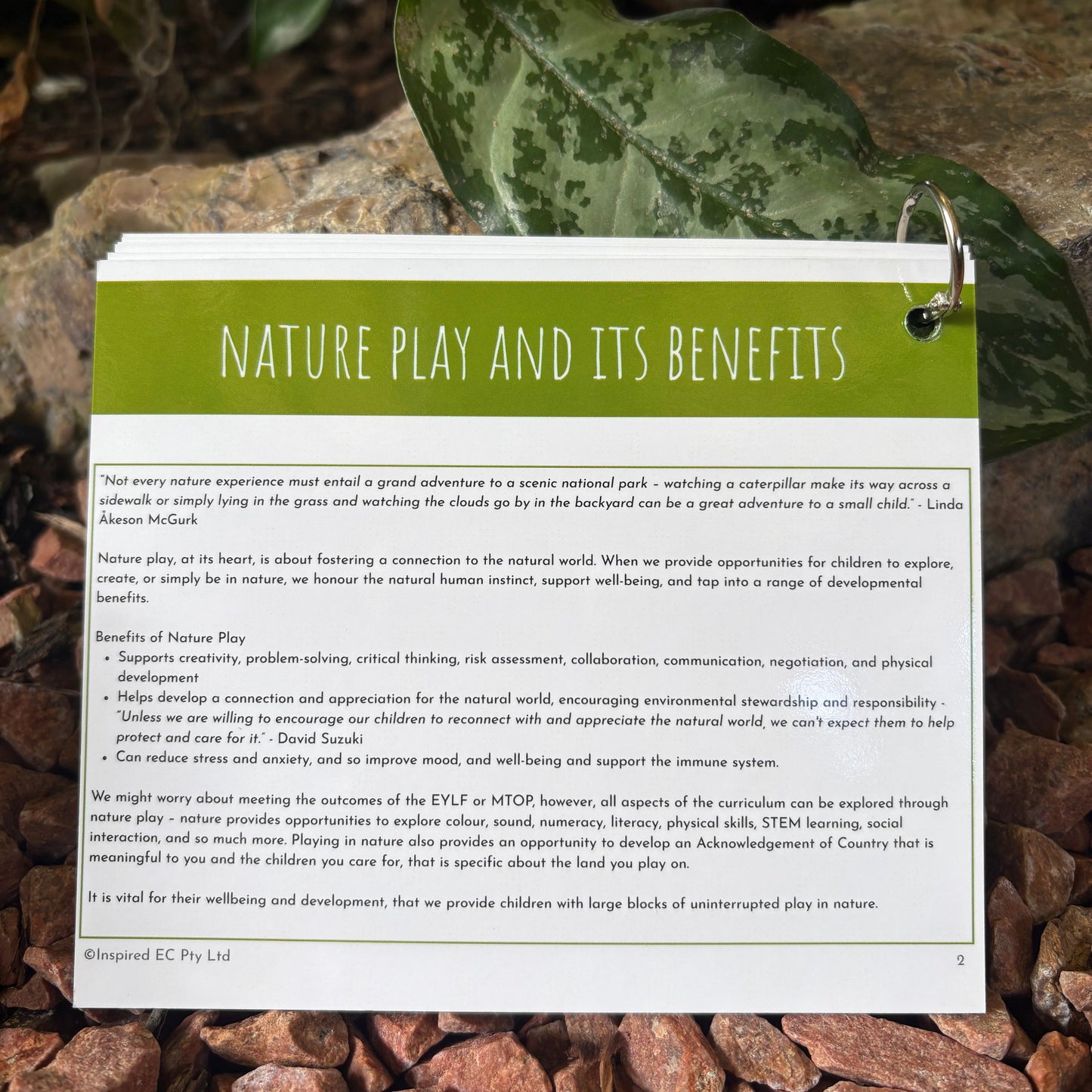Nature Play: Inspiration and Discussion Cards