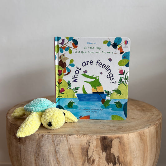 What are Feelings? by Katie Daynes (Board Book)