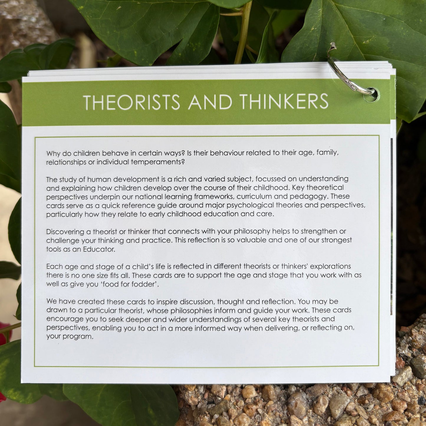 Theorists & Thinkers: Inspiration and Discussion Cards (2-3 years)