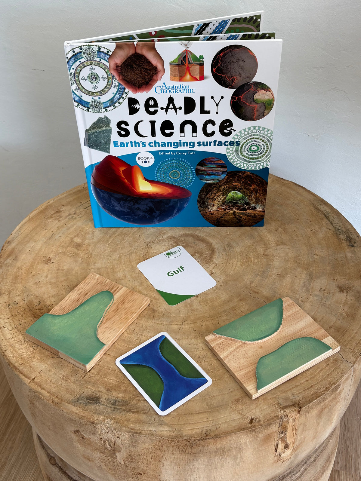 Deadly Science Earth's Changing Surfaces Book 4 by Corey Tutt (Hard Back)