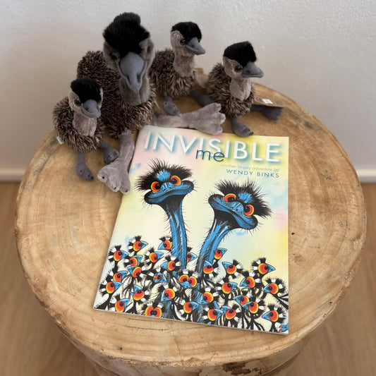 Invisible Me by Wendy Binks (Paper Back)