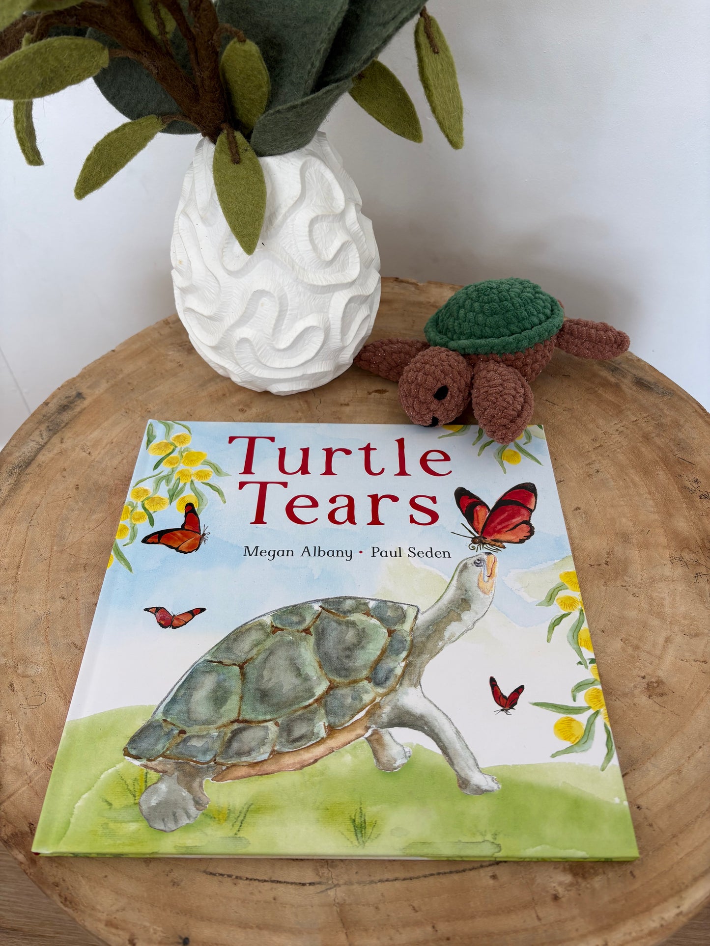 Turtle Tears by Megan Albany & Paul Seden (Hard Back)