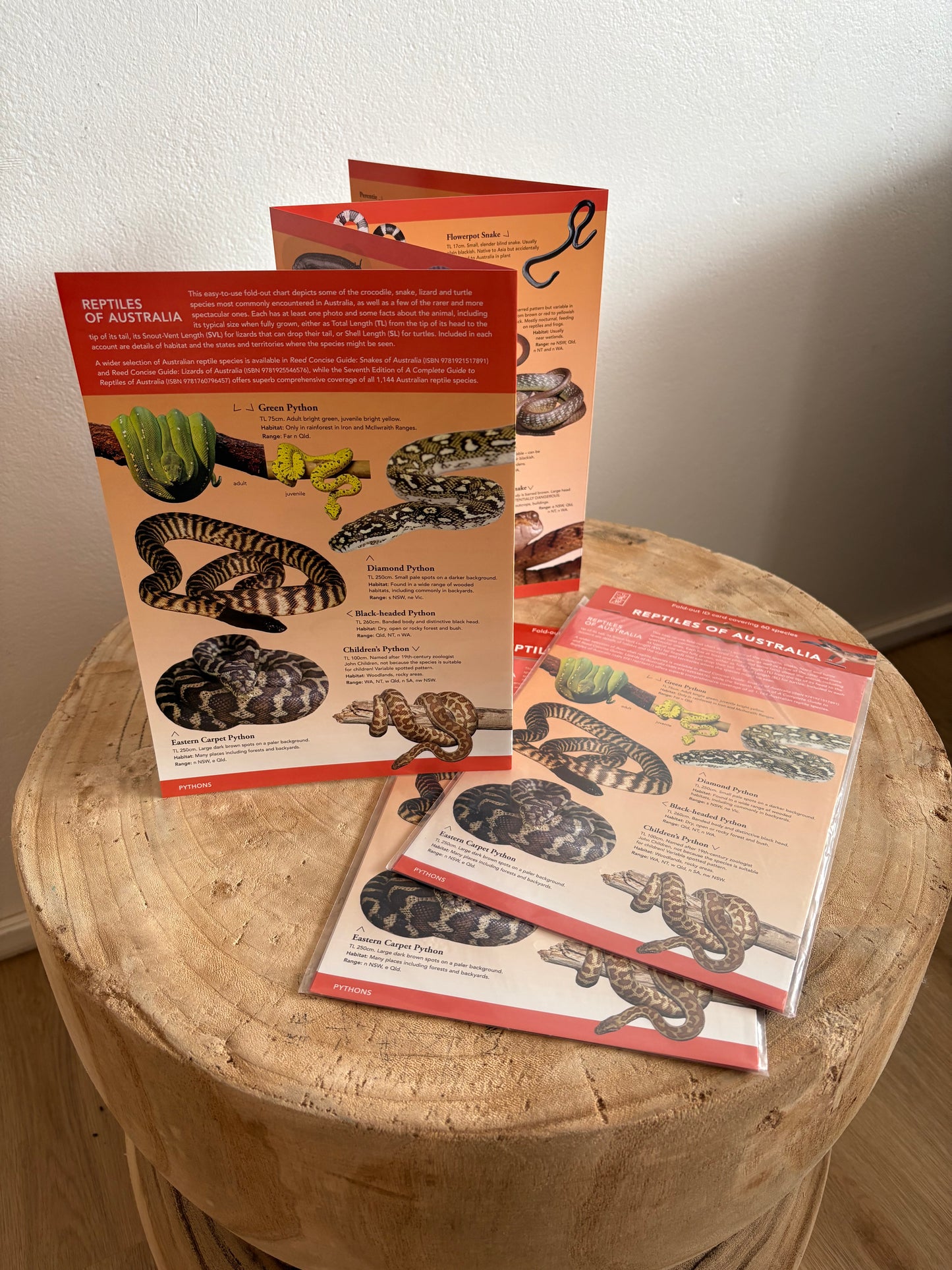 ID Charts Reptiles of Australia