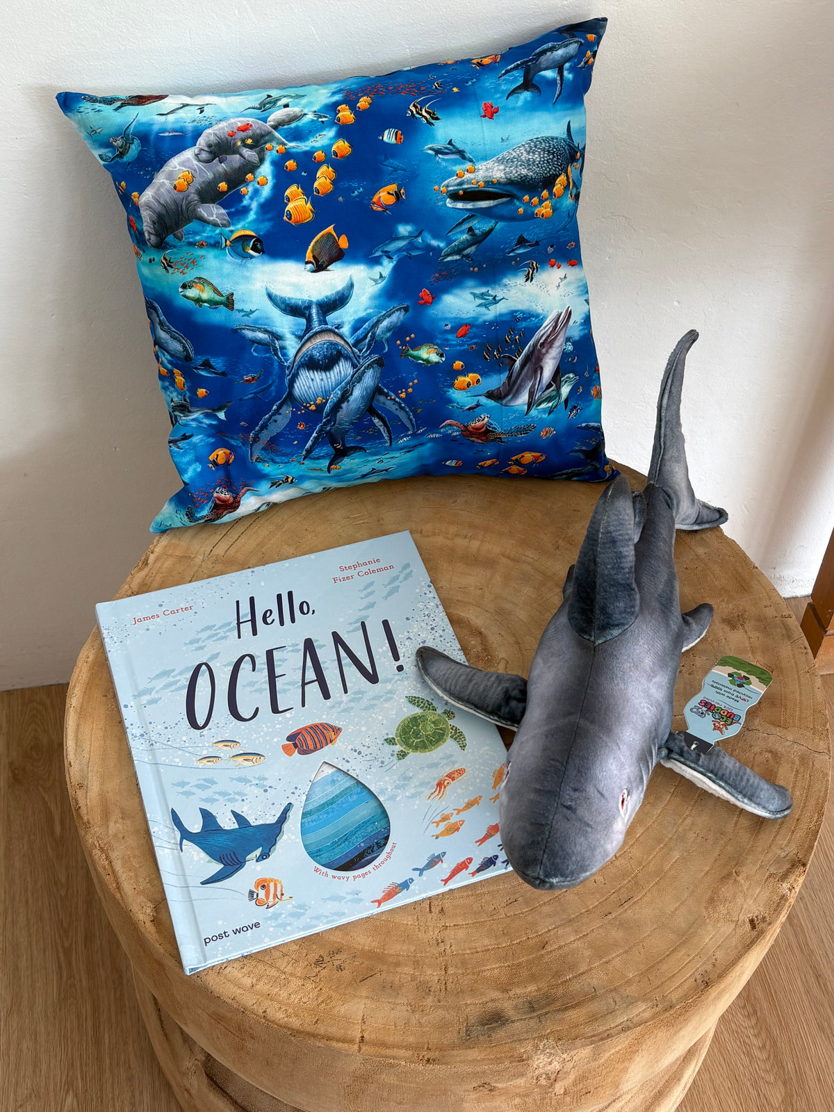 Hello, Ocean! by James Carter (Hard Back)