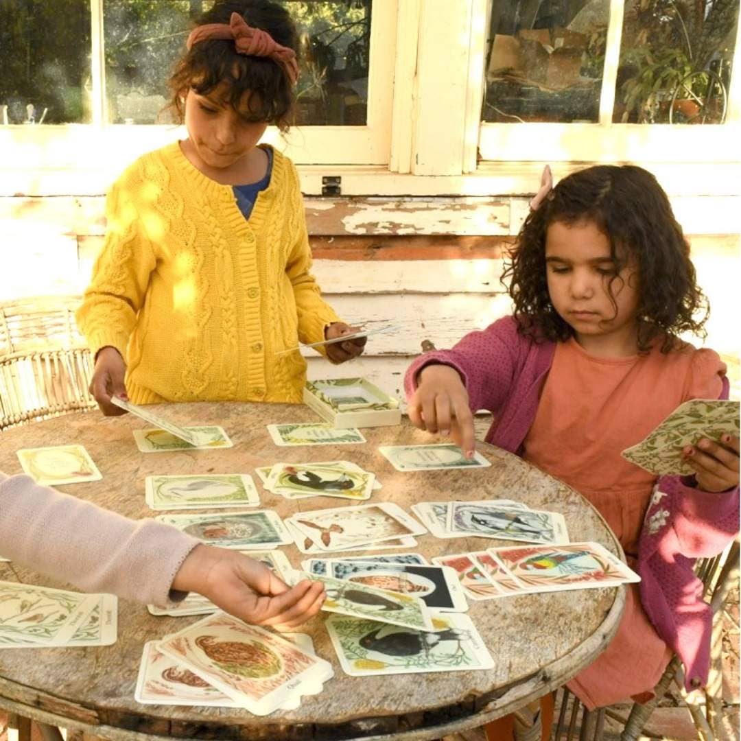 I am a Magpie I am a Currawong - Card Game