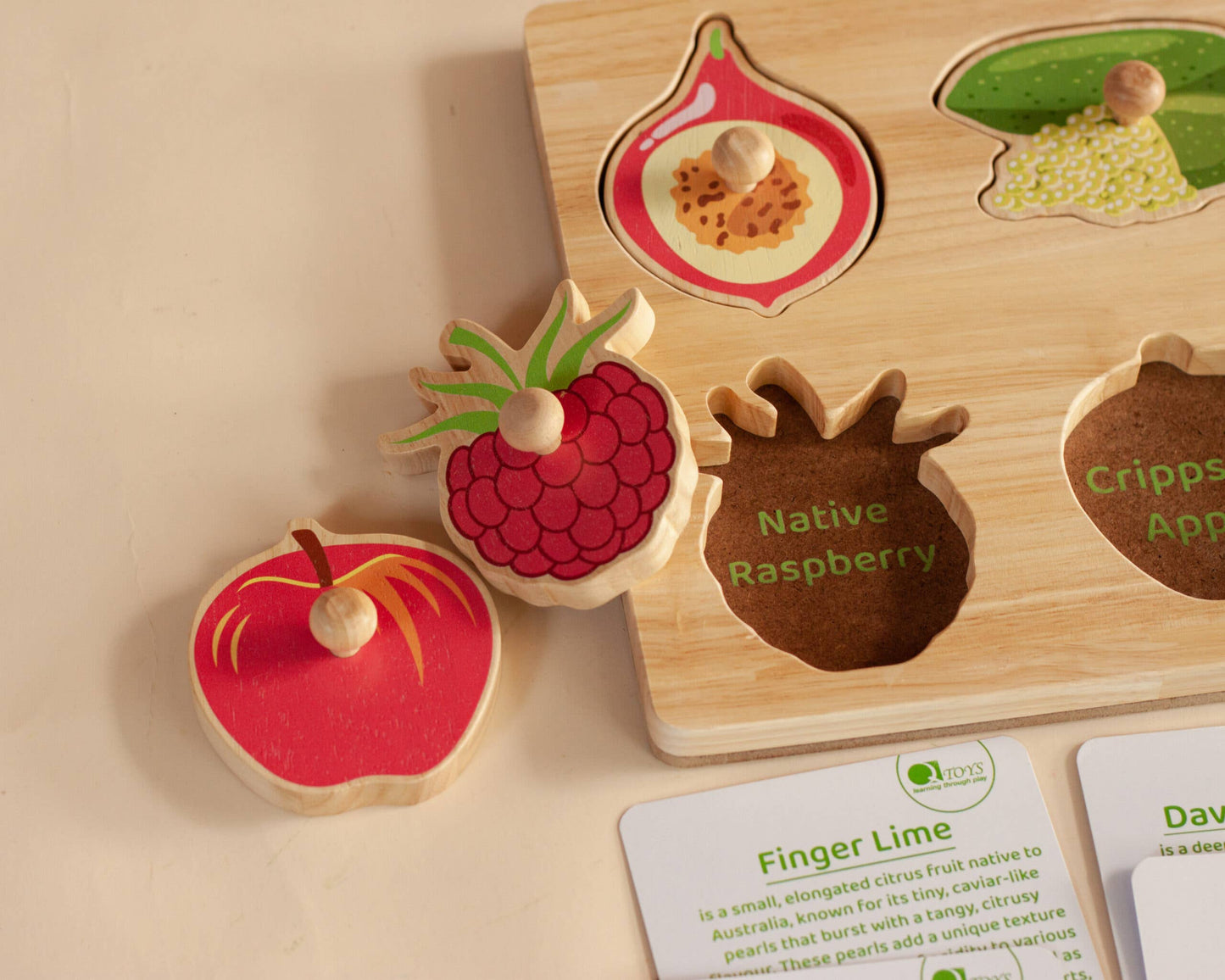 QTOYS Australian Native Fruit Puzzle