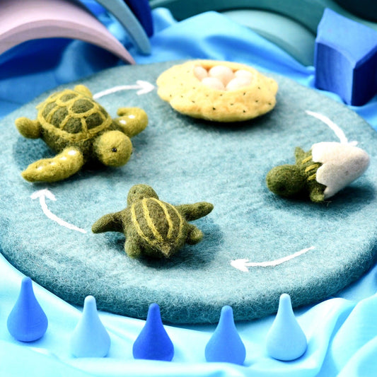 Felt Life Cycle Tray Play Mat (Water)