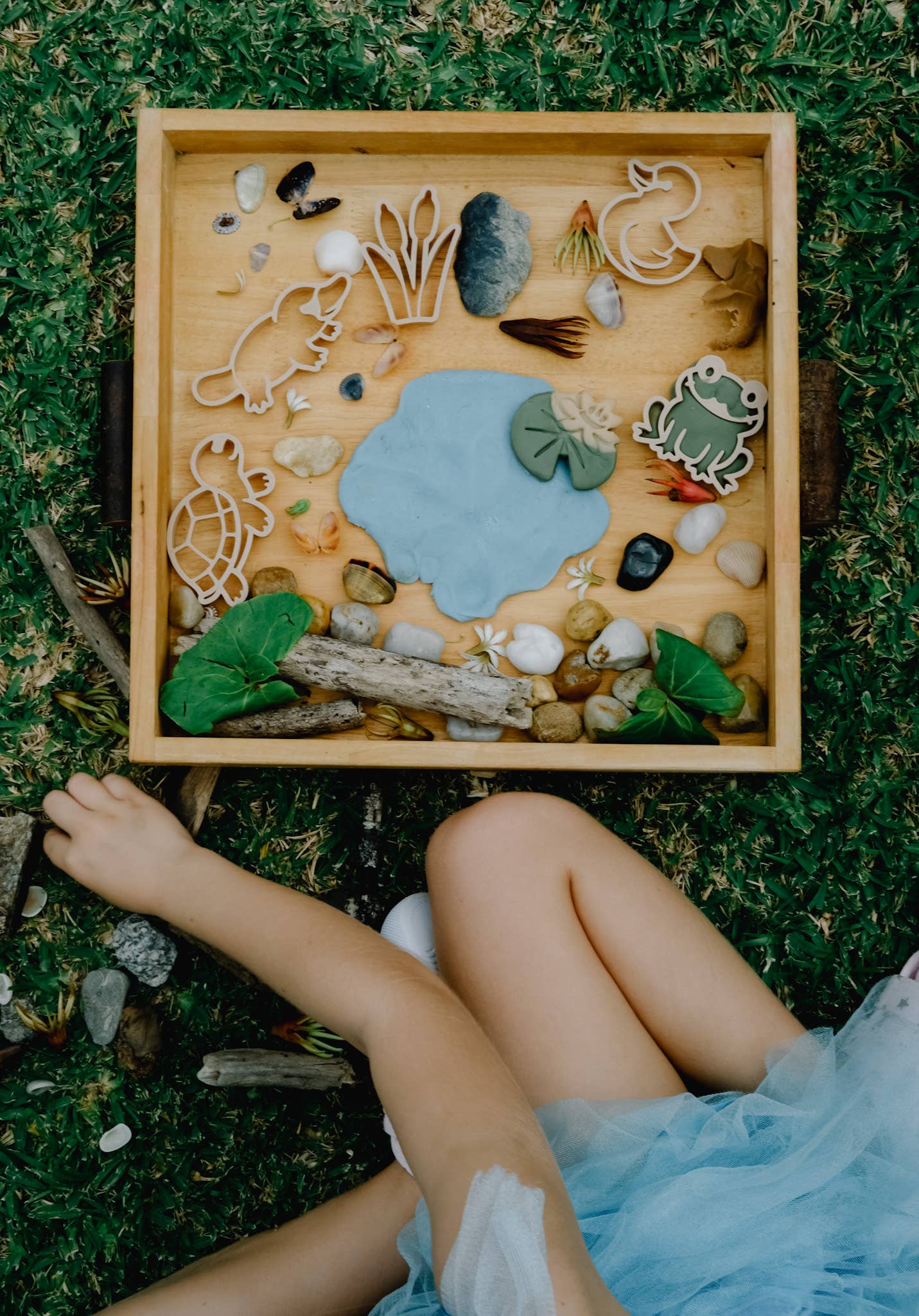 Pond life Cutter Set - Eco Playdough Tool