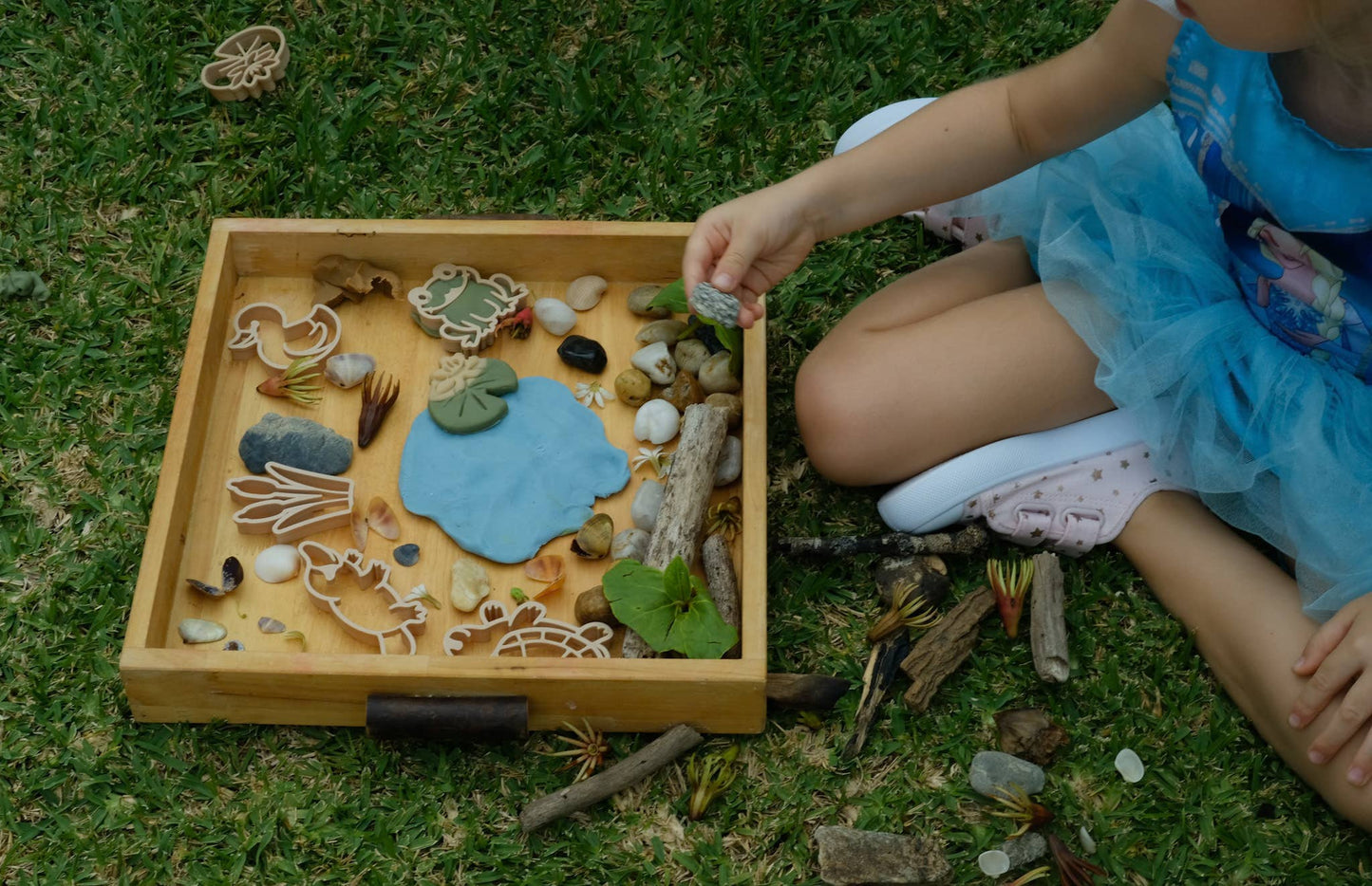 Pond life Cutter Set - Eco Playdough Tool