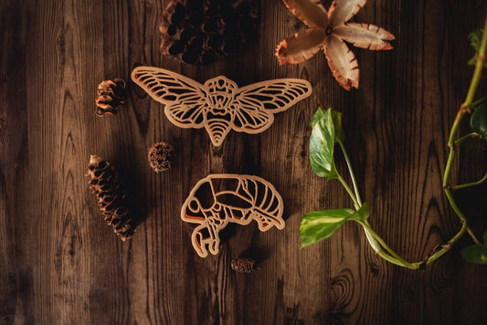 Cicada & Shell Cutter Set - Eco Playdough Tool