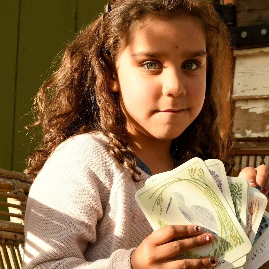 I am a Magpie I am a Currawong - Card Game