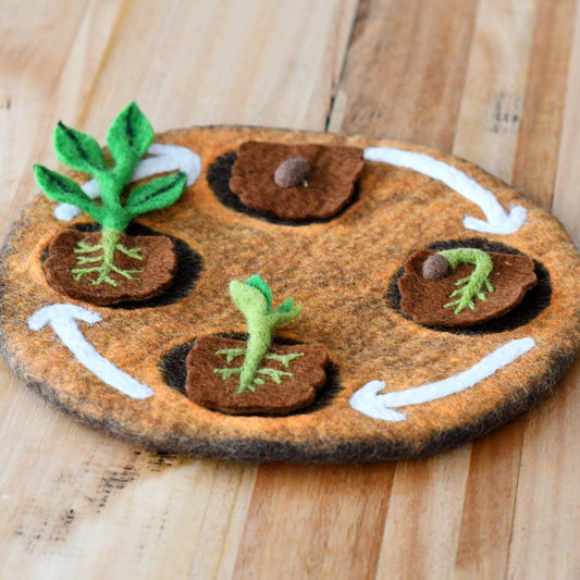 Felt Lifecycle of Bean