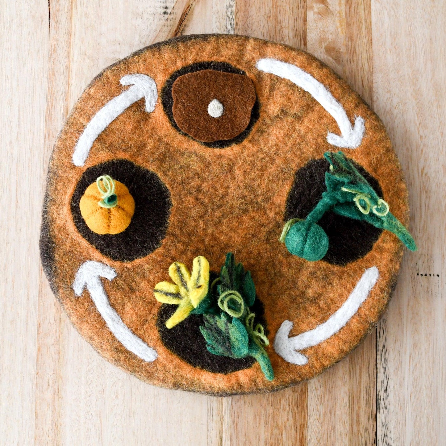 Felt Lifecycle of Pumpkin