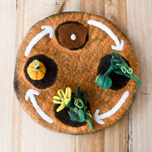 Felt Lifecycle of Pumpkin