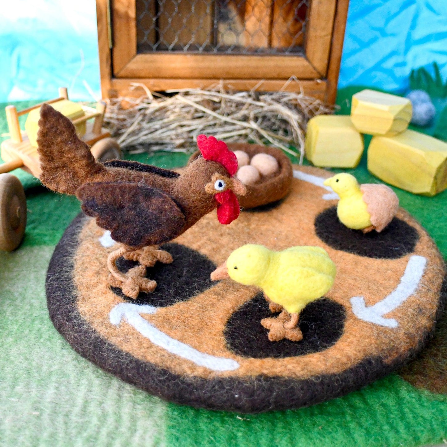 Felt Lifecycle of The Chicken