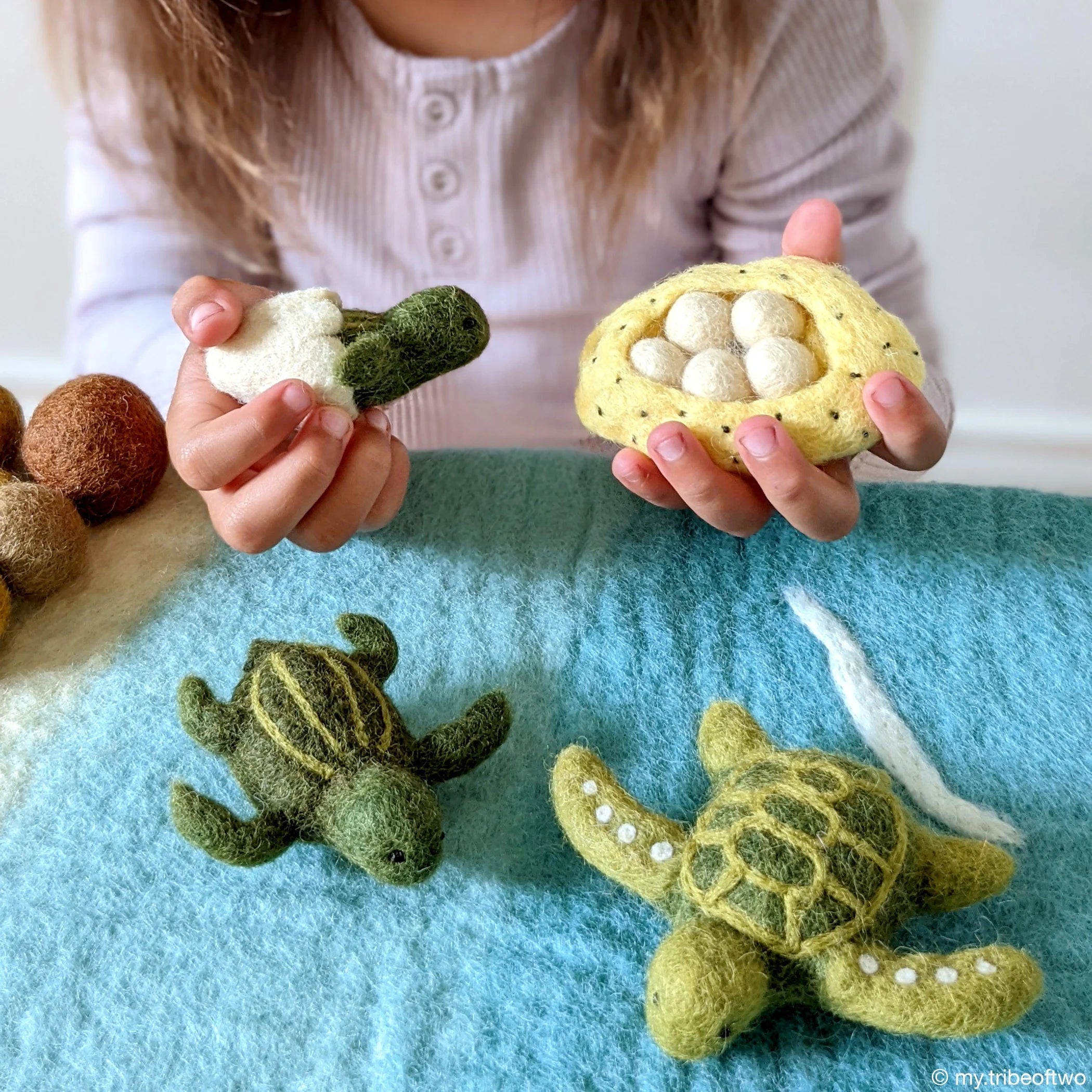 Conecting Turtle Life Cycle of Green Sea Turtle Stuffed Toy – Connecting The Dots ...